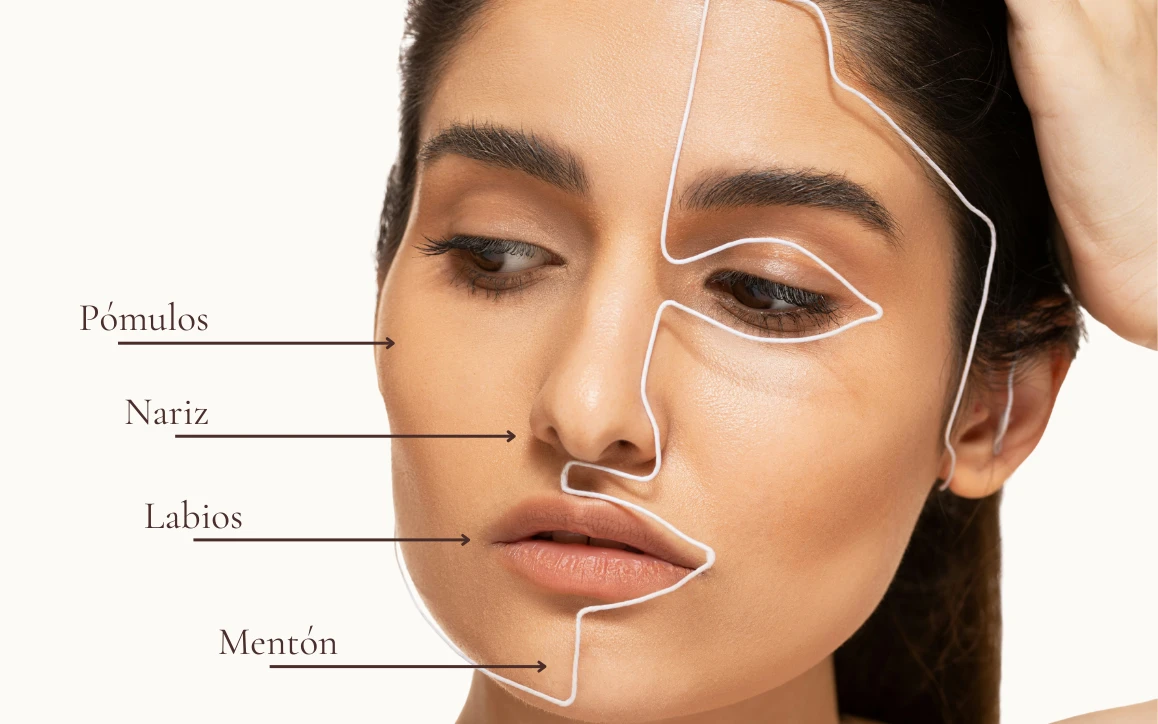 Mapa de armonización facial: pómulos, nariz, labios y mentón